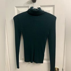 Forest Green Fitted Turtle Neck